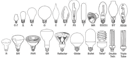 Light store bulb shapes